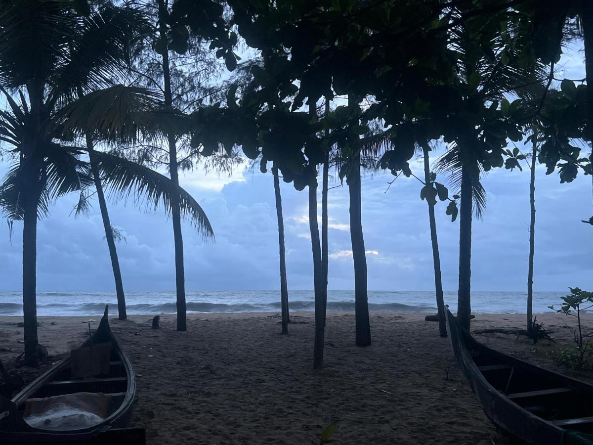 Cherai Beach Retreat Exterior photo